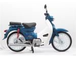 Scooter ECO 135